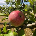 Au Calme, A La Campagne Durtal