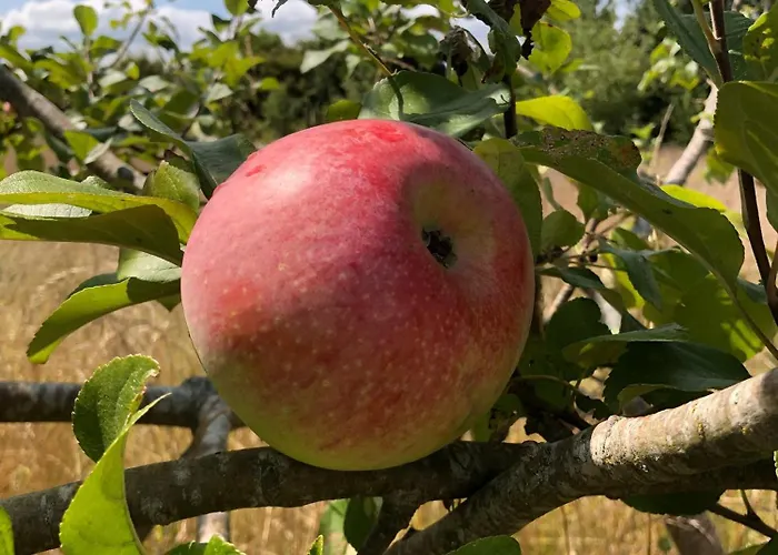 Au Calme, A La Campagne Durtal